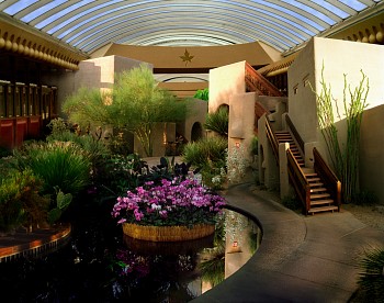 Oliver Wasow - Orchid show, Boulders Resort, Arizona, 2002
